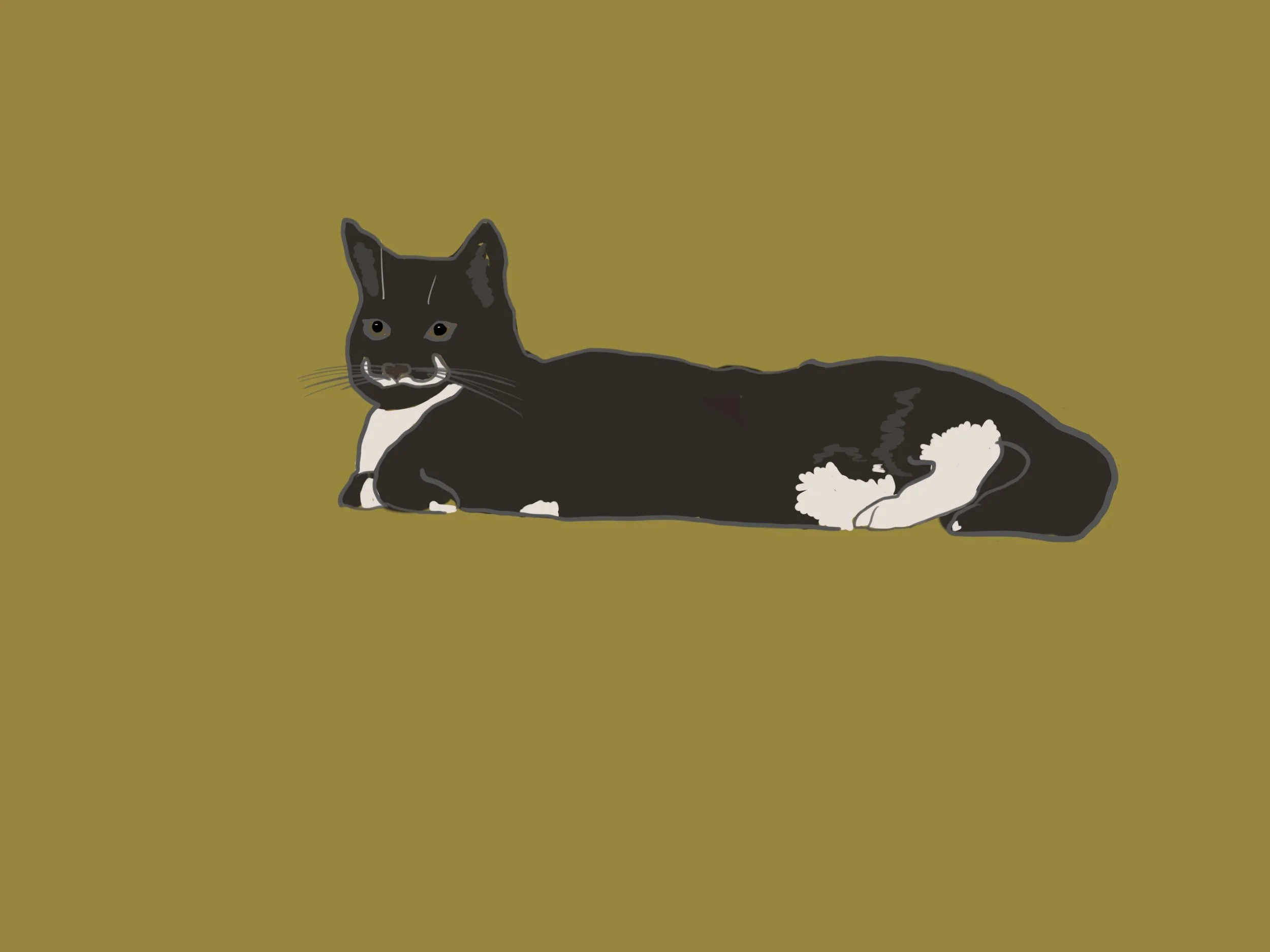 Untitled_Artwork 46.JPG