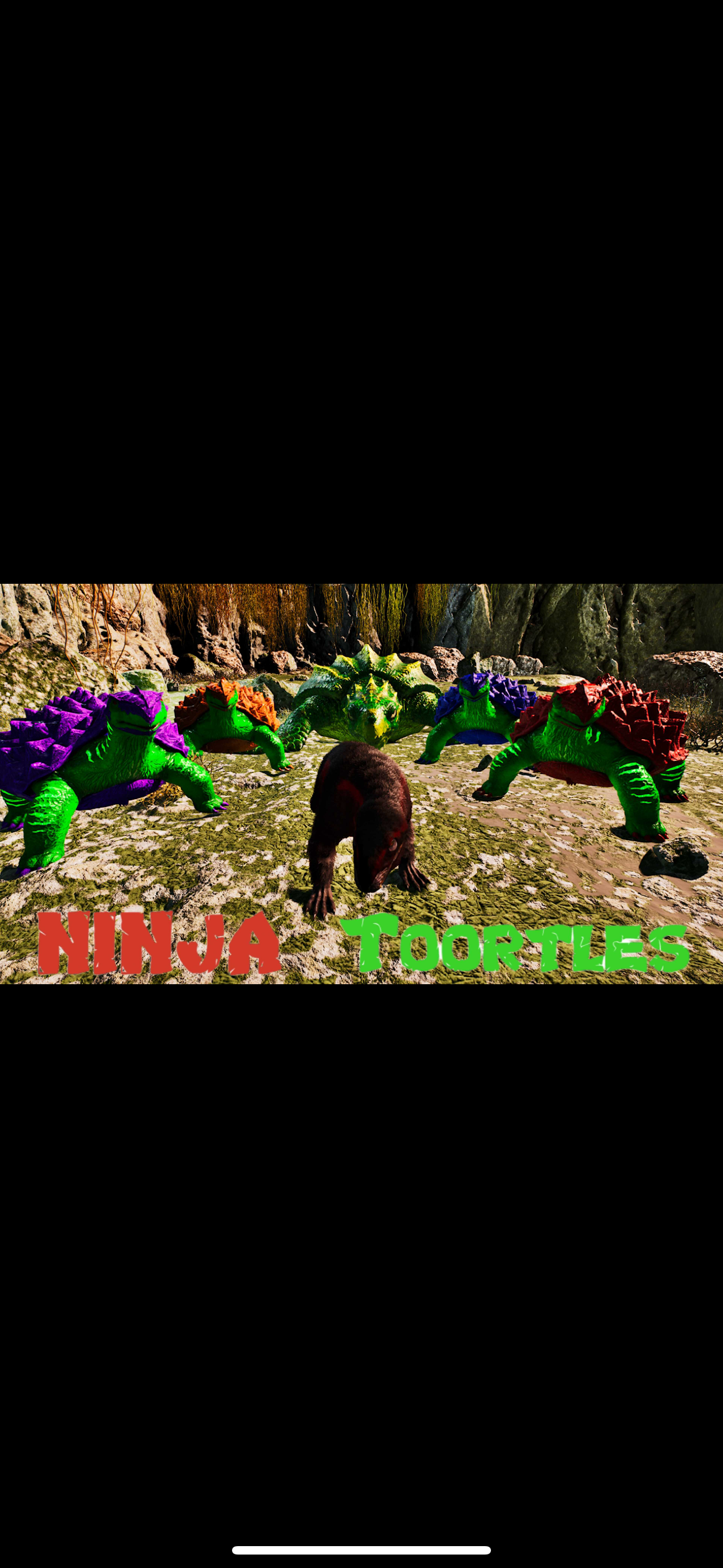 🐢 Ninja Toortles 🐢