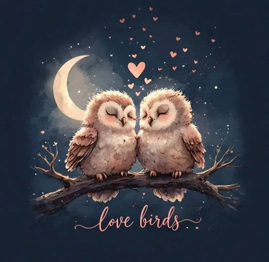 🤍🦜Love Burds🦜🤍
