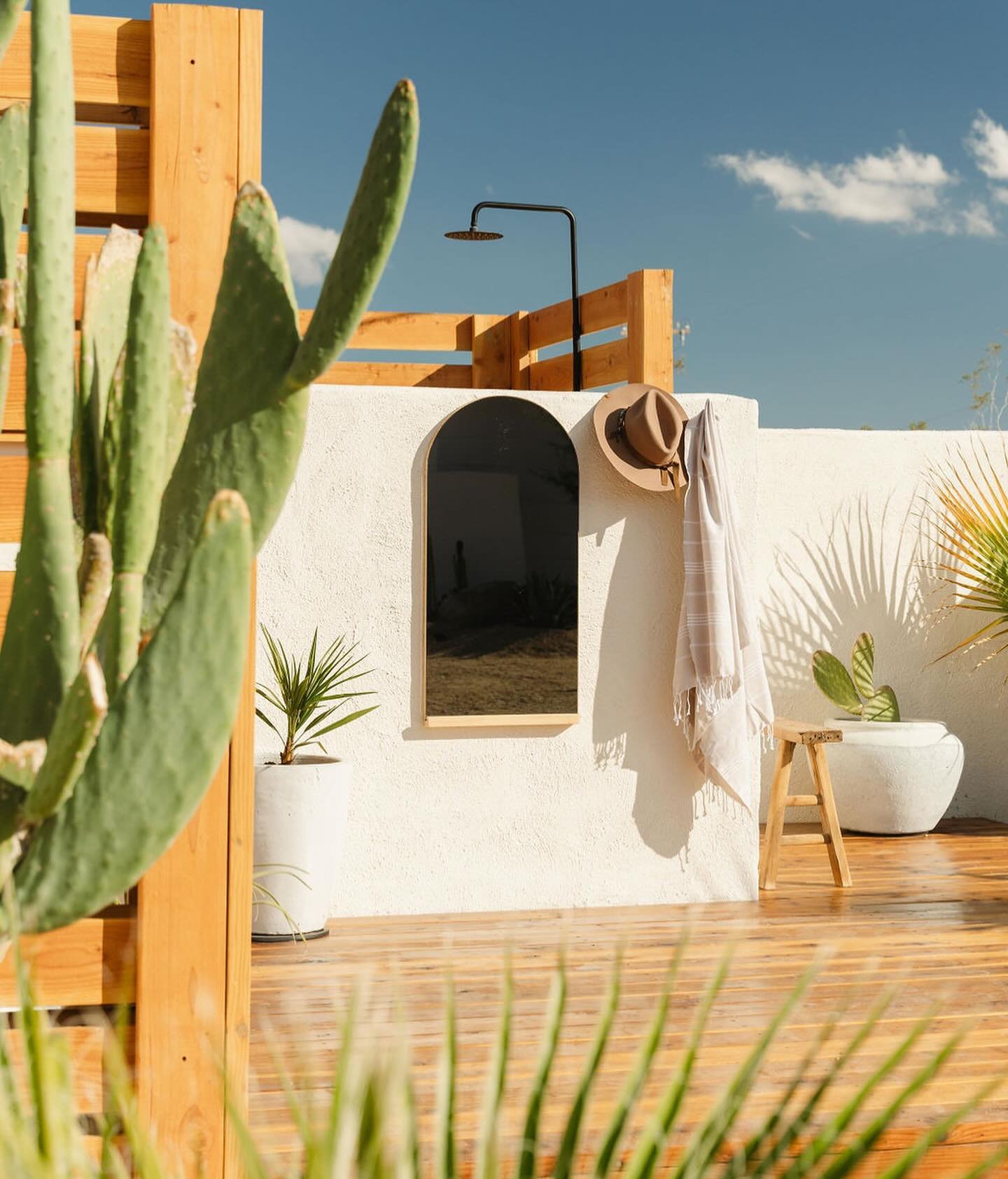 Just another day in our desert garden spa 🌵🌞 

Fun fact: many of the palms surrounding this oasis came from seedlings a friend gifted us. The seedlings have thrived in our back yard and they&rsquo;re now beautiful palms that offer vibrant green, sh