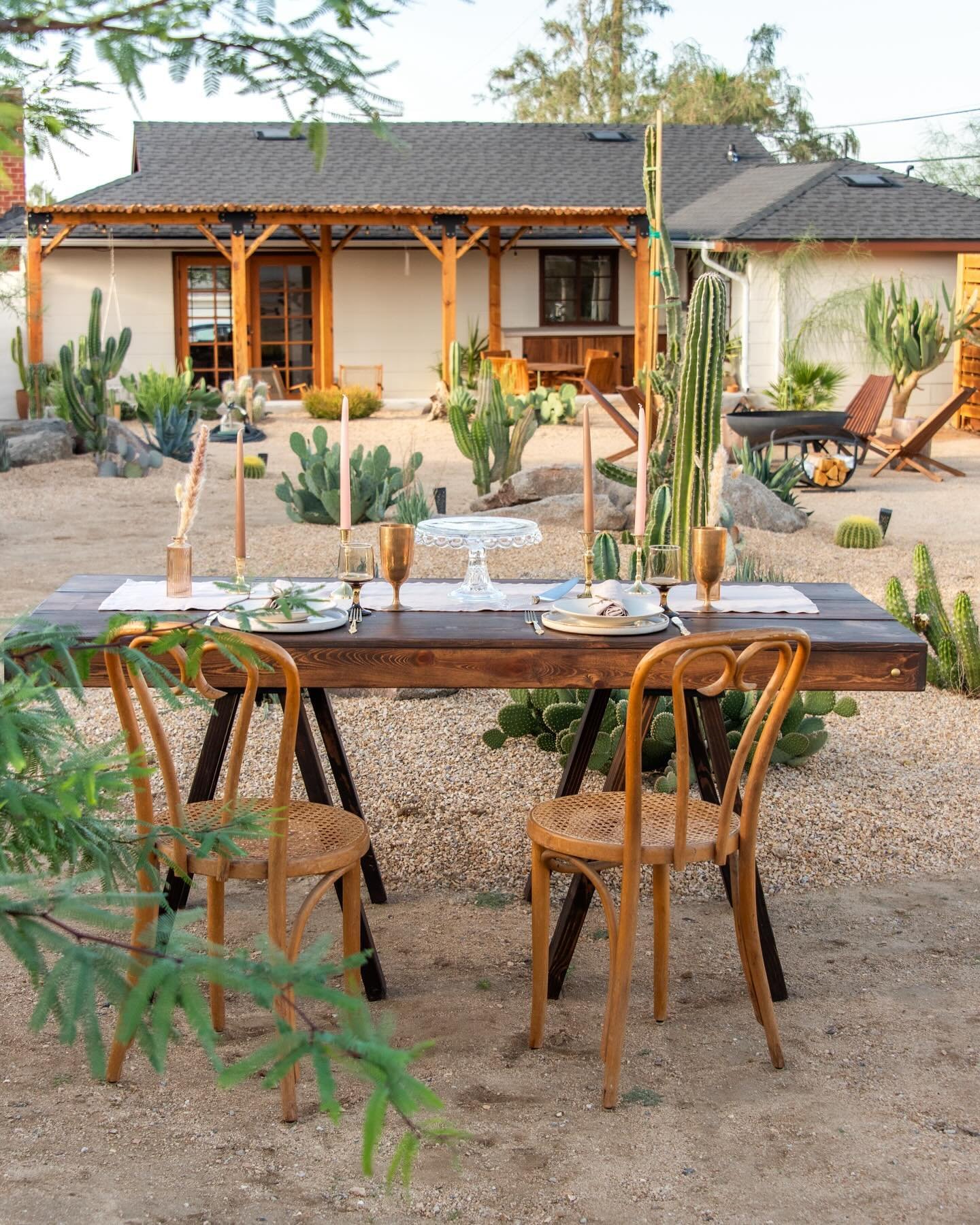 Celebrating one year of Terra Vieja! 

In our first blog post ever we are sharing reflections, highlights, and improvements made in our first year opening Terra Vieja to guests. Simply pull up our website and navigate to the new ✨ Blog ✨ section. We 