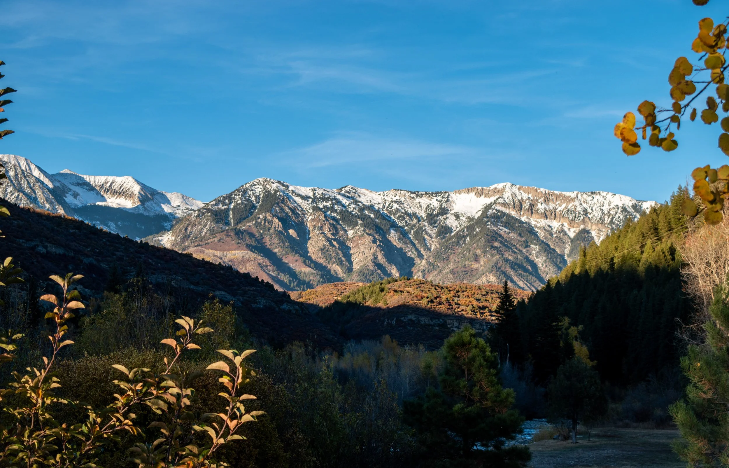 SRG_Landscapes-9.jpg