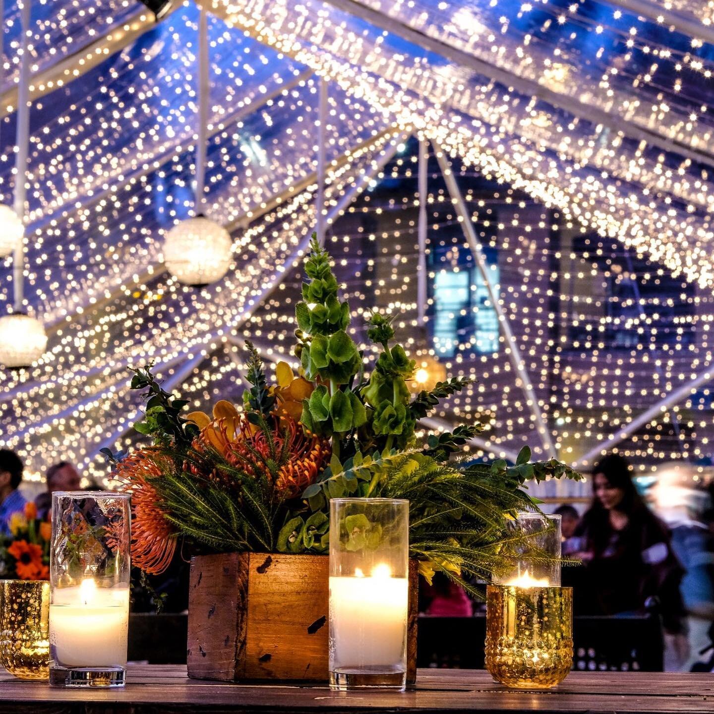 A magical night for @sagehill ! ✨ A perfect way to showcase our chandeliers and twinkle lights to set the mood is our canopies ! For this occasion we were able to showcase a beautiful boho style for a high school event 🪴

Florals: @paulfennerflorald