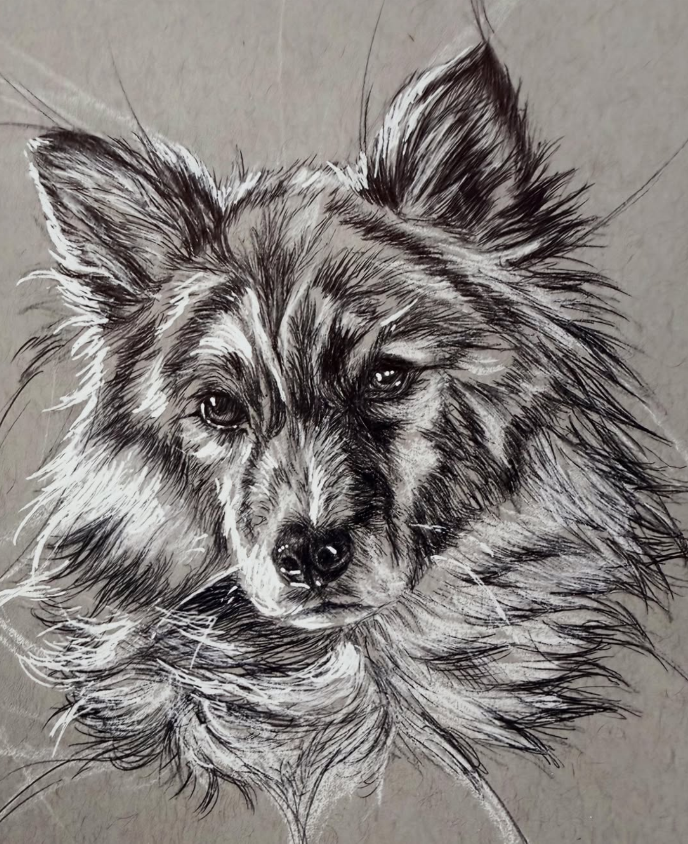 Kiba 

5.5 x 8.5 Ink and Pastel on Grey Toned Paper