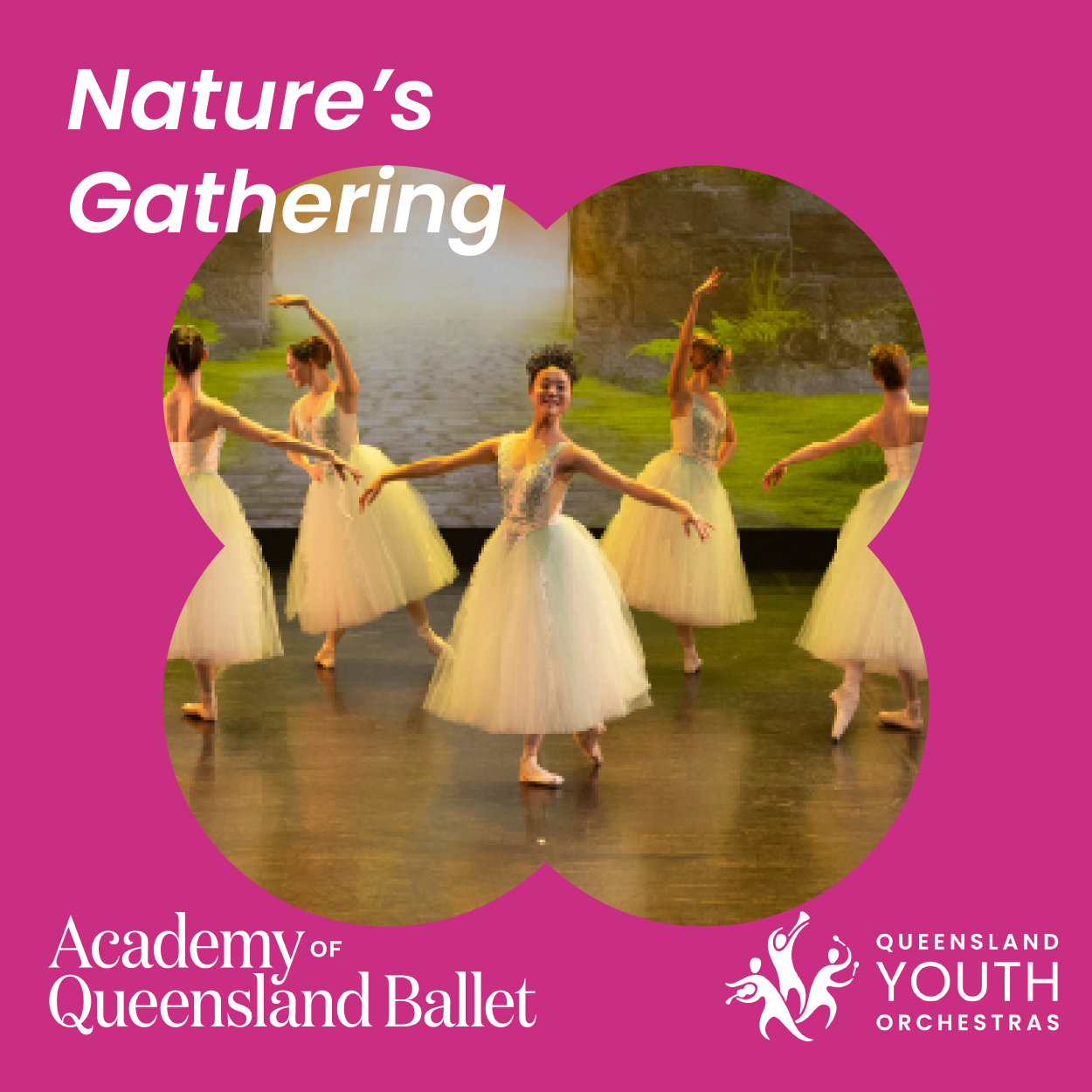 NATURE’S GATHERING