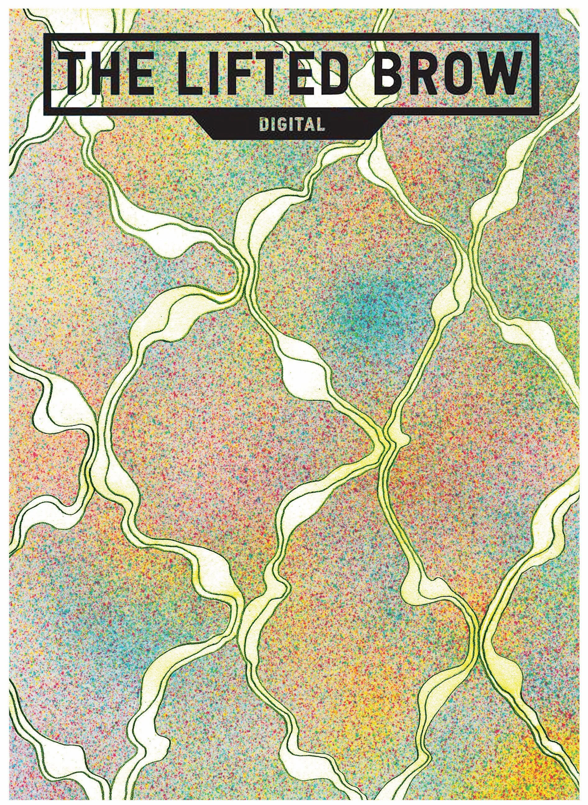 Brow Cover_12.jpg