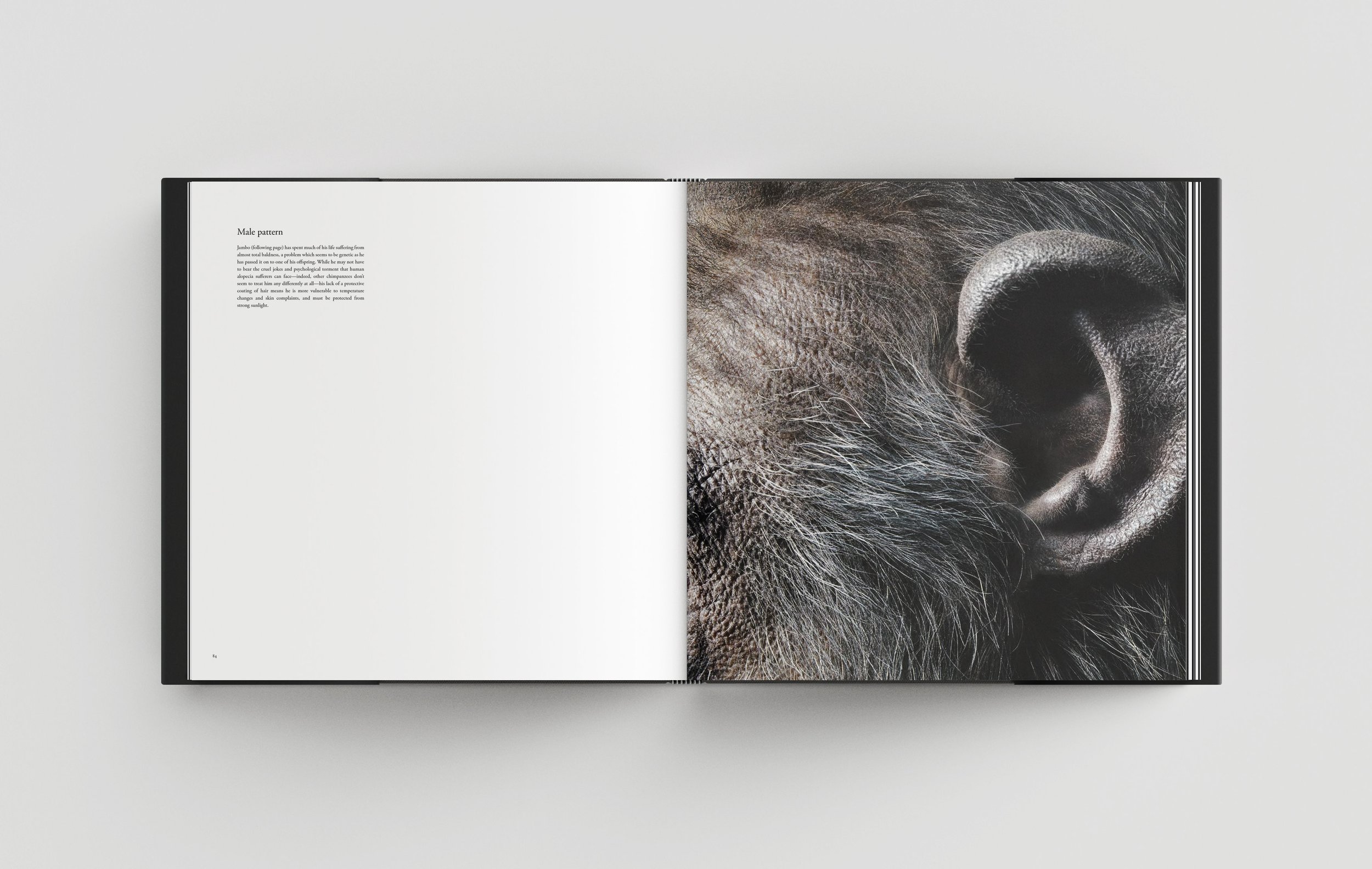 Project-Basis-Design_Tim-Flach_More-Than-Human_Open_s9.jpg
