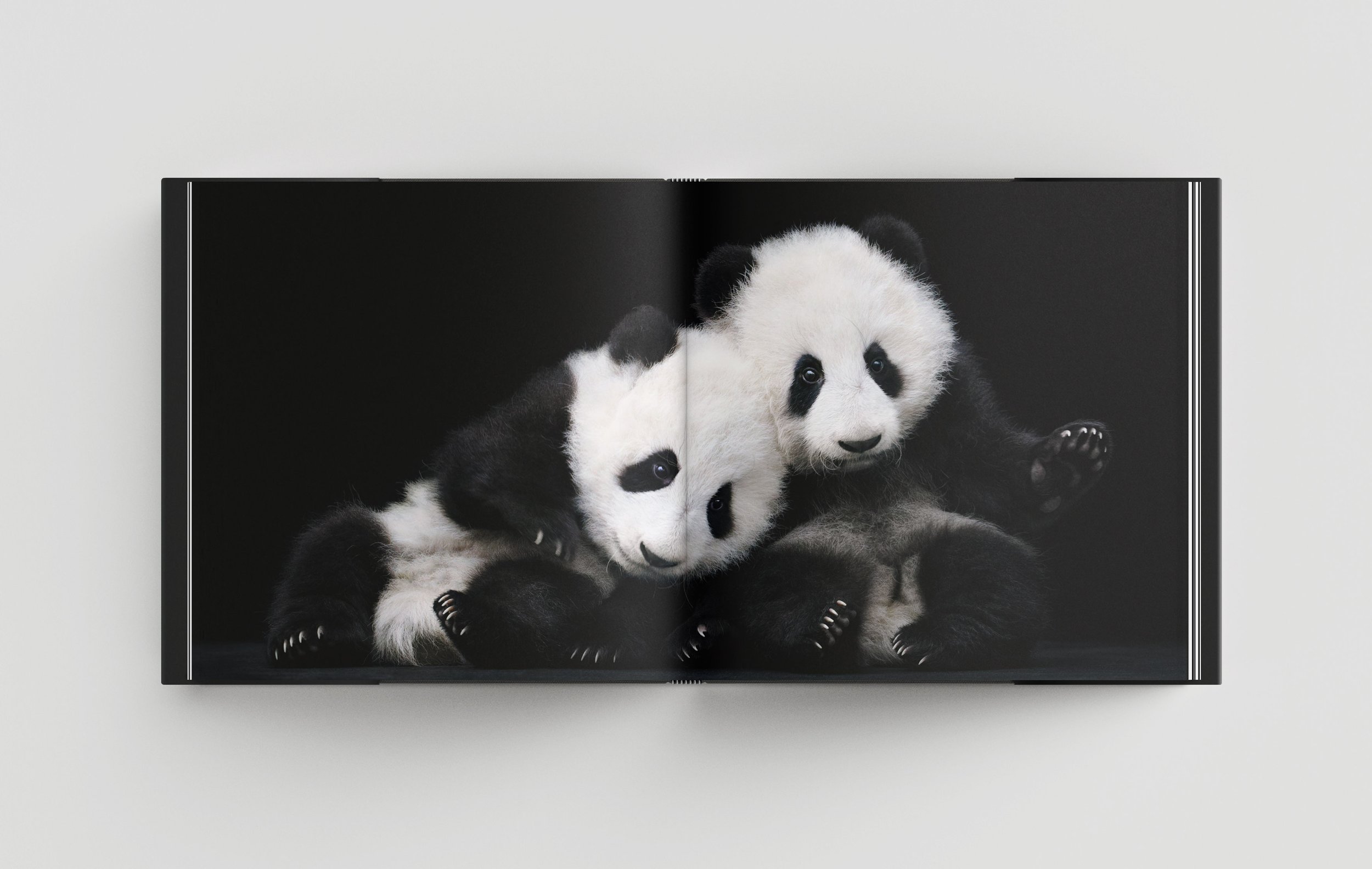 Project-Basis-Design_Tim-Flach_More-Than-Human_Open_s7.jpg