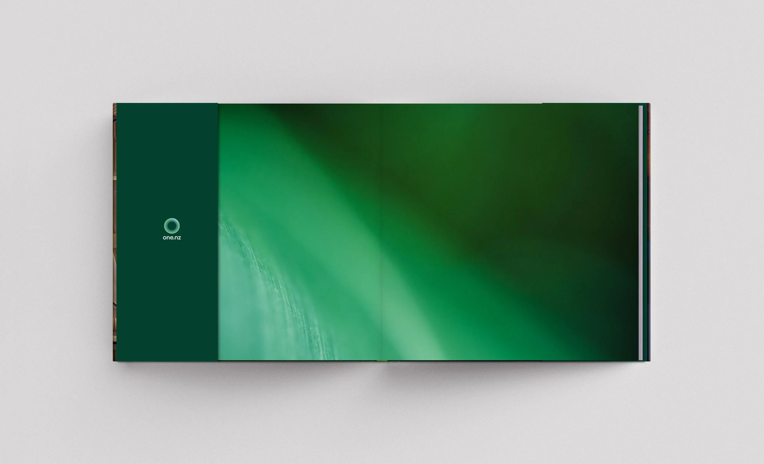 Project Basis_ONE NZ_Book_Front end.jpg