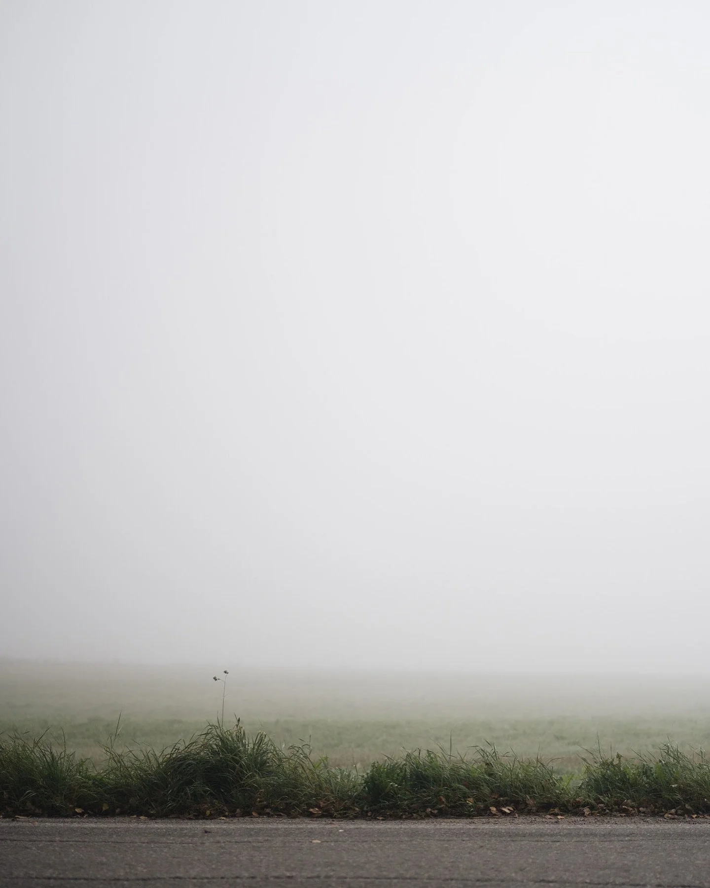 Okei moi mik&auml; aamu!
Jotenkin aivan tosi tosi inspiroivaa. Ajatus siit&auml;, ett&auml; kaikki on kauniimpaa v&auml;h&auml;n sumussa, ei tee omasta aivosumustakaan en&auml;&auml; vain pelk&auml;st&auml;&auml;n negatiivista.

#luovastudio #yritt&a