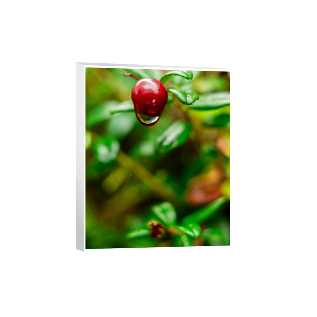ptq_7_6_0_508_2624_3280_0_true_ffffff_1_1_.png