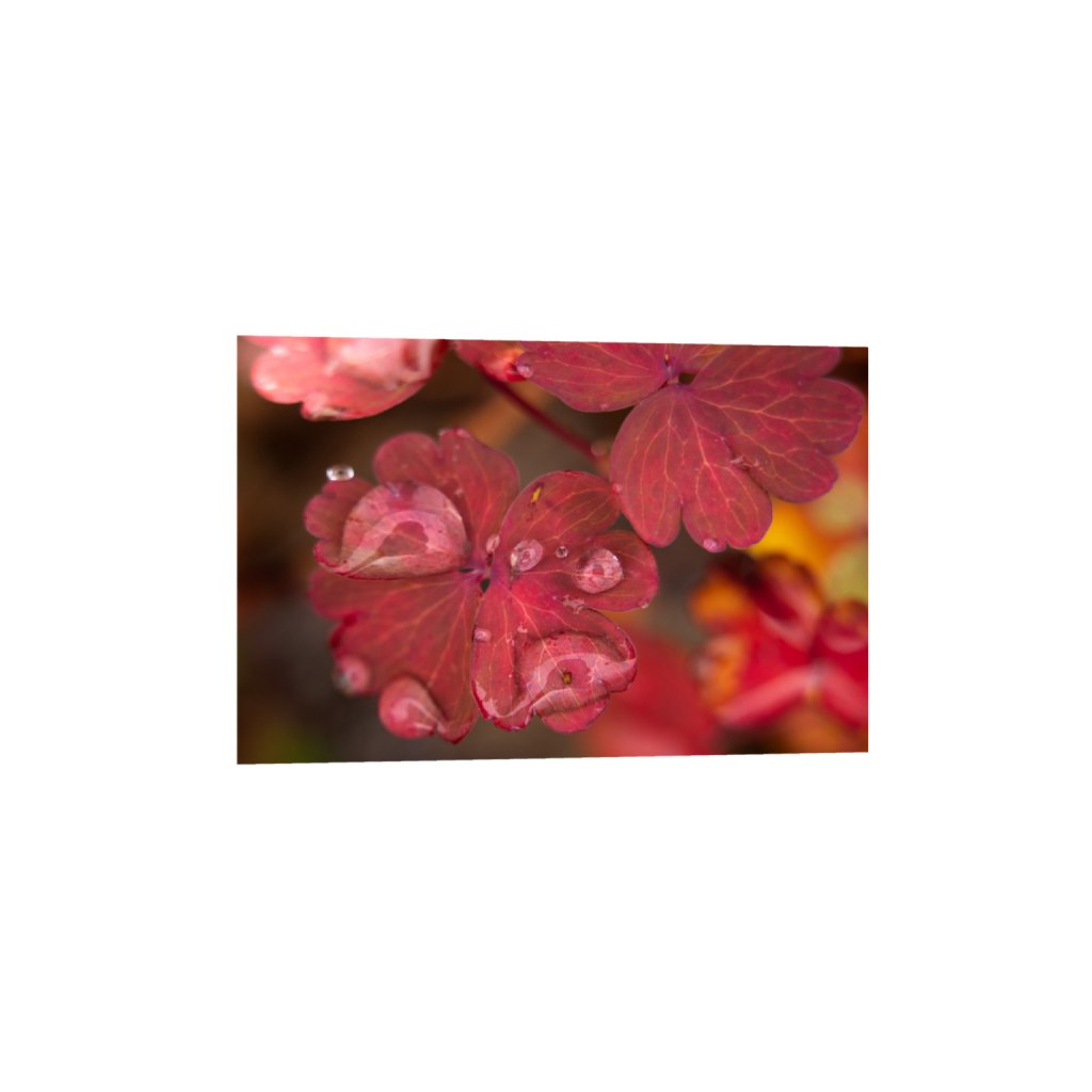 ptq_34_3_0_142_3280_2186_0_true_ffffff_1_1_.png