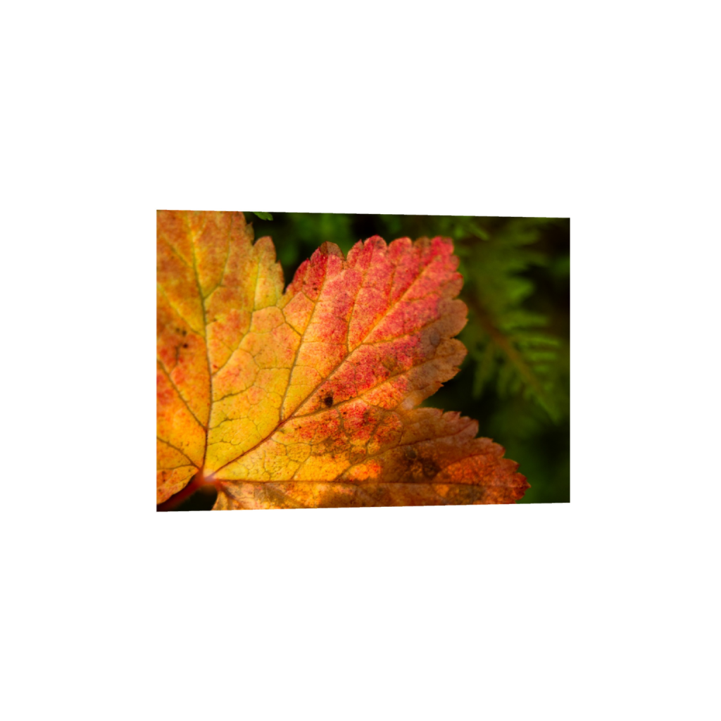 ptq_1_7_0_140_3280_2342_0_true_ffffff_1_1_.png