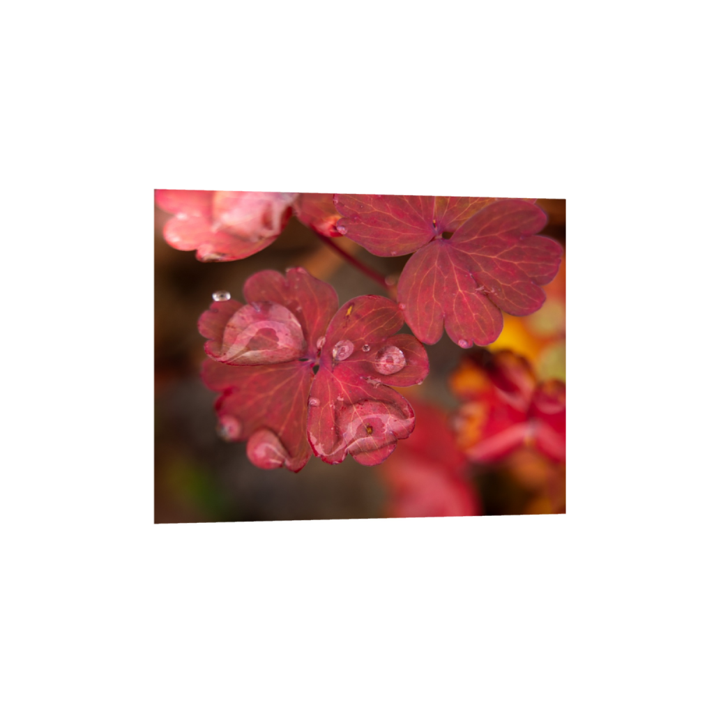 ptq_34_6_0_0_3280_2624_0_true_ffffff_1_1_.png