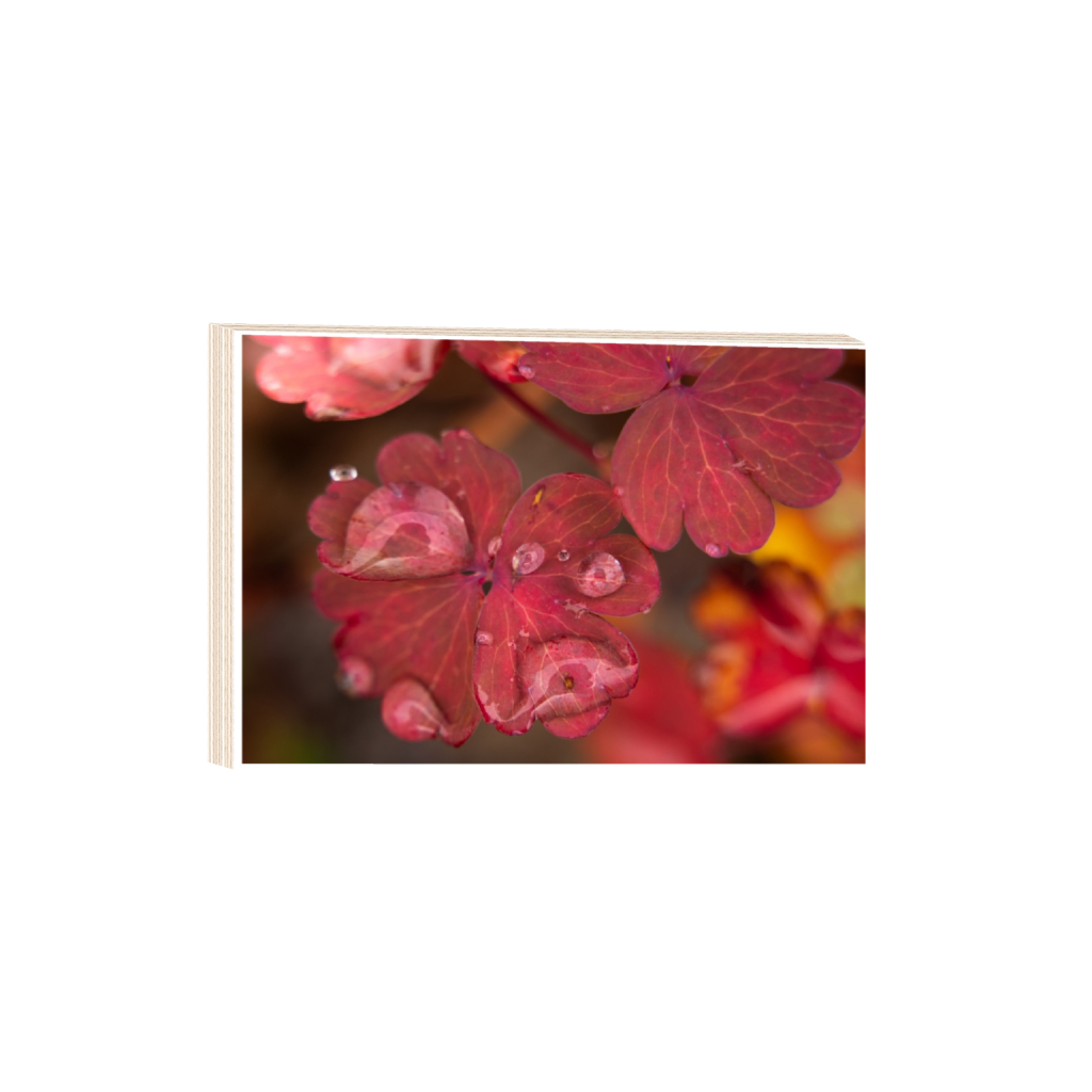 ptq_29_3_0_142_3280_2186_0_true_ffffff_1_1_.png