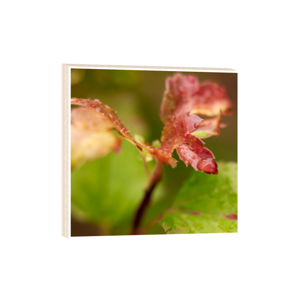 ptq_29_0_157_0_2624_2624_0_true_ffffff_1_1_.png