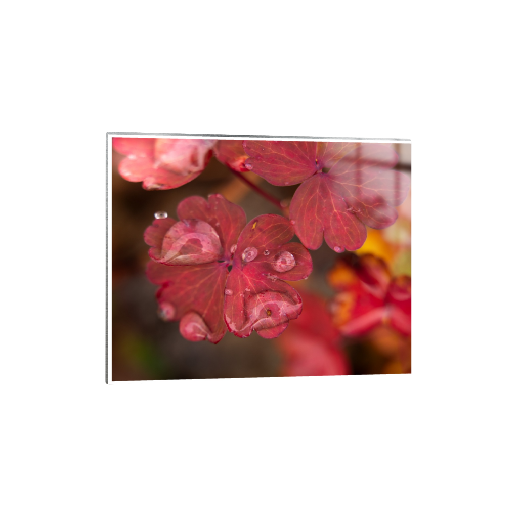 ptq_13_6_0_0_3280_2624_0_true_ffffff_1_1_.png