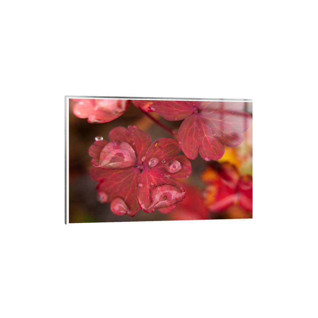 ptq_13_3_0_142_3280_2186_0_true_ffffff_1_1_.png