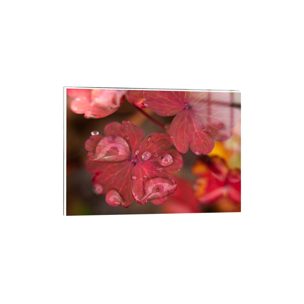 ptq_13_7_1_23_3280_2342_0_true_ffffff_1_1_.png