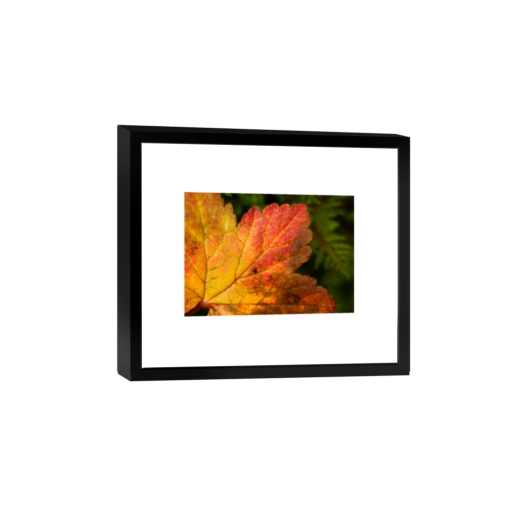 ptq_45_7_0_140_3280_2342_0_true_ffffff_1_1_.png