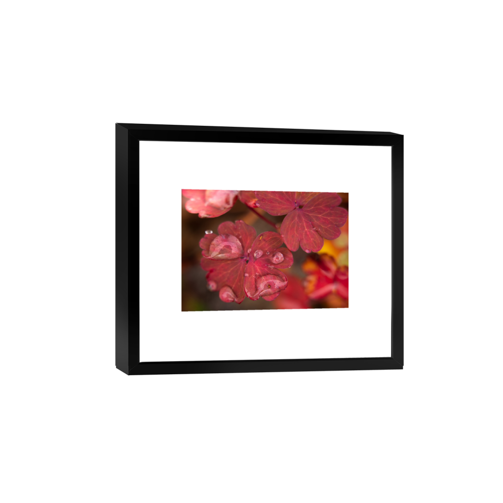 ptq_45_7_1_23_3280_2342_0_true_ffffff_1_1_.png