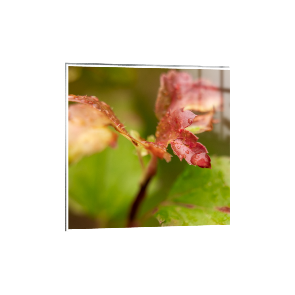 ptq_13_0_157_0_2624_2624_0_true_ffffff_1_1_.png
