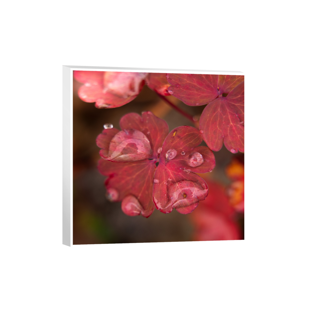 ptq_7_0_0_0_2624_2624_0_true_ffffff_1_1_.png