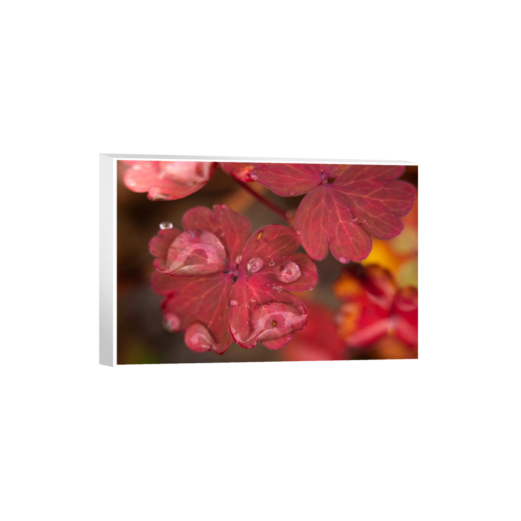 ptq_7_3_0_142_3280_2186_0_true_ffffff_1_1_.png