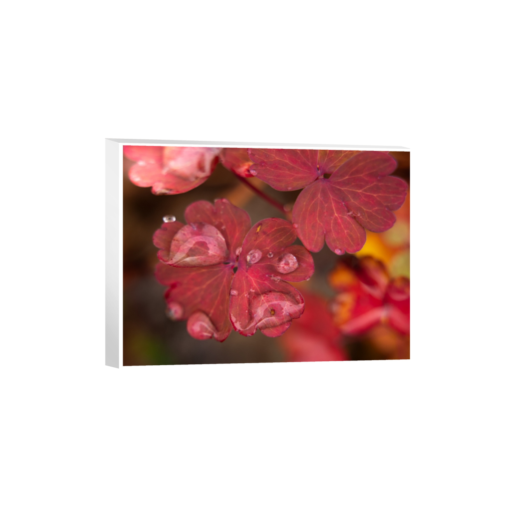 ptq_7_5_8_24_3280_2460_0_true_ffffff_1_1_.png