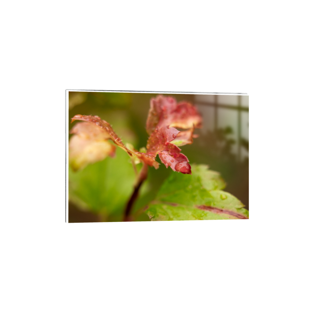 ptq_13_7_0_0_3673_2624_0_true_ffffff_1_1_.png