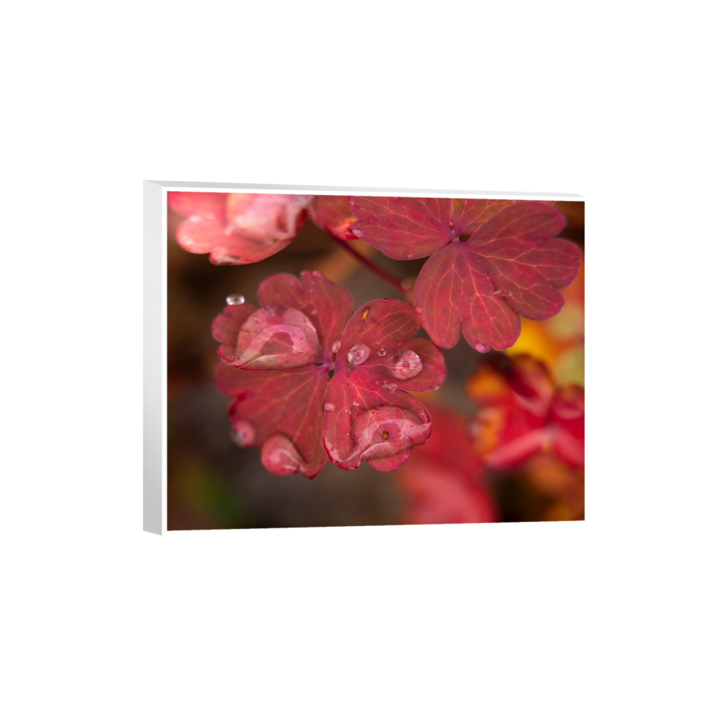 ptq_7_6_0_0_3280_2624_0_true_ffffff_1_1_.png