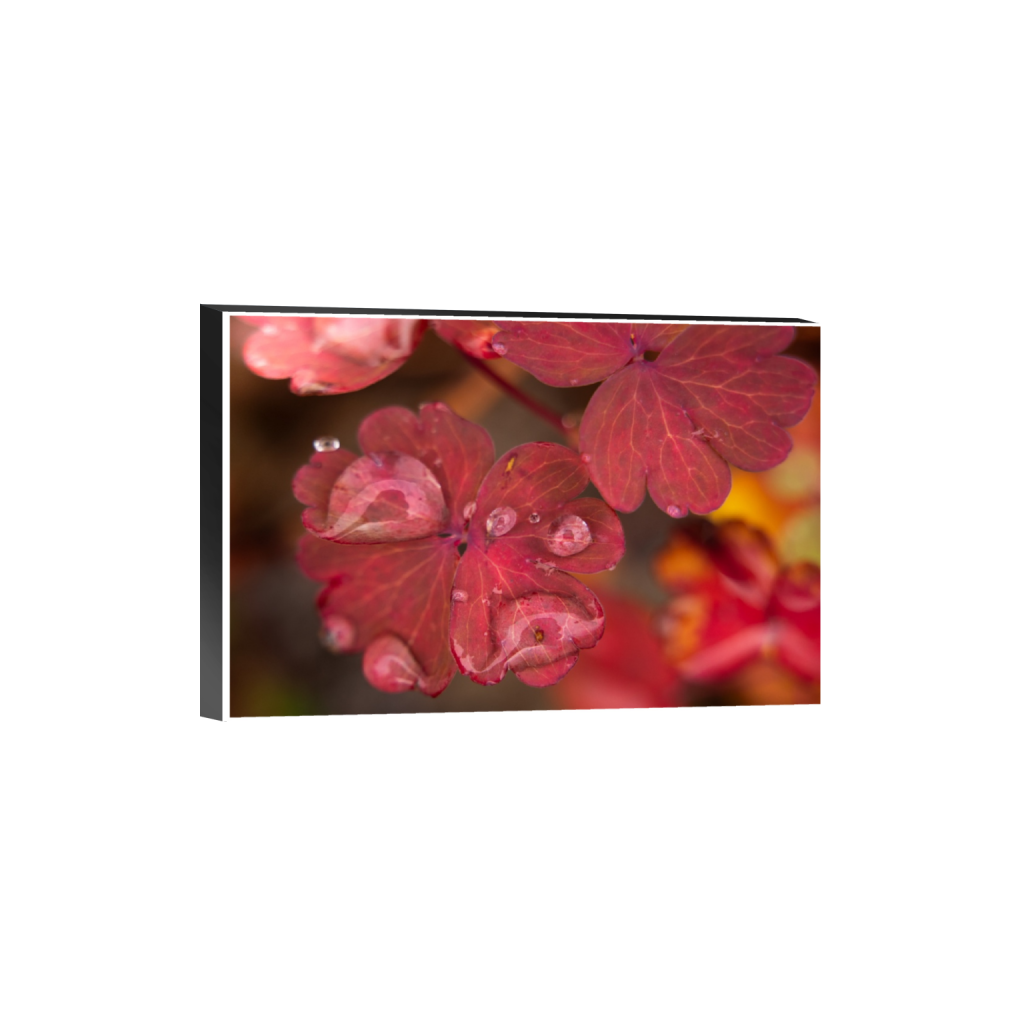 ptq_32_3_0_142_3280_2186_0_true_ffffff_1_1_.png