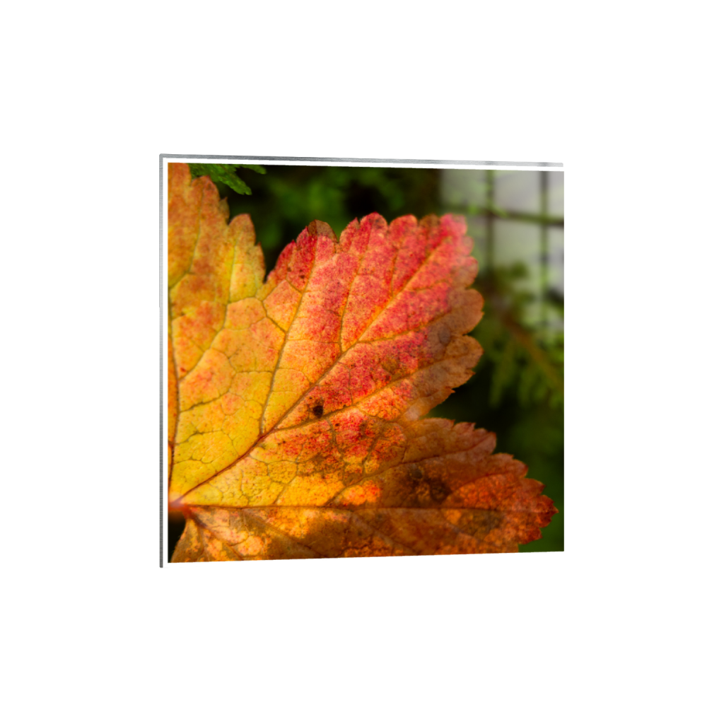 ptq_13_0_345_0_2624_2624_0_true_ffffff_1_1_.png