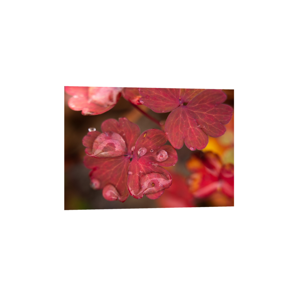 ptq_1_7_1_23_3280_2342_0_true_ffffff_1_1_.png