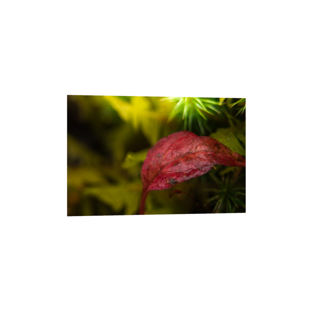 ptq_34_3_0_0_3280_2186_0_true_ffffff_1_1_.png