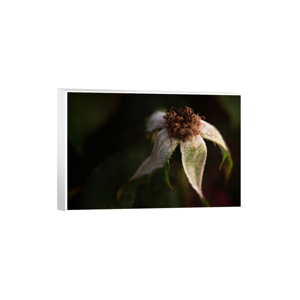 ptq_7_3_0_218_3280_2186_0_true_ffffff_1_1_.png