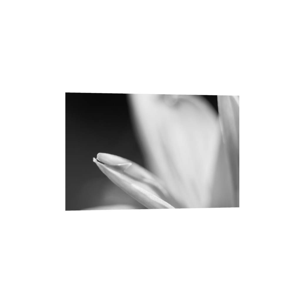 ptq_34_3_0_218_3280_2186_0_true_ffffff_1_1_.png