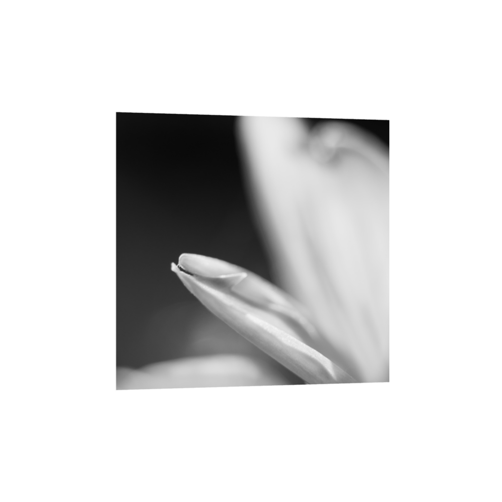 ptq_1_0_0_0_2624_2624_0_true_ffffff_1_1_.png