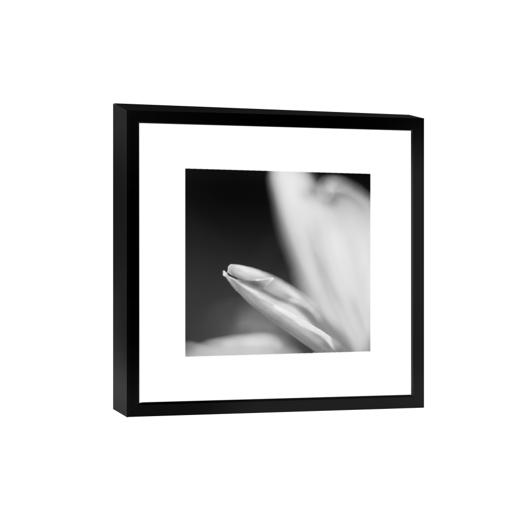 ptq_45_0_0_0_2624_2624_0_true_ffffff_1_1_.png