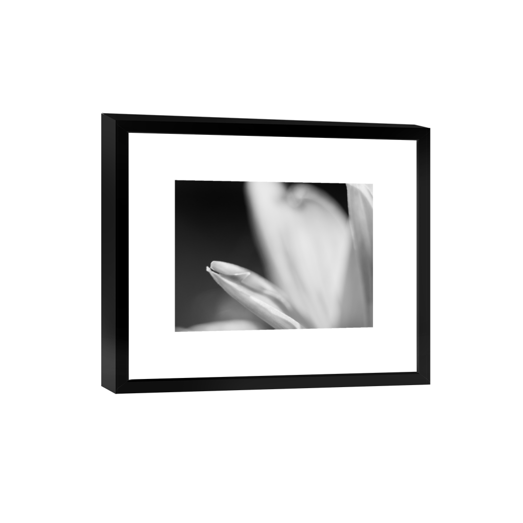 ptq_45_5_0_24_3280_2460_0_true_ffffff_1_1_.png