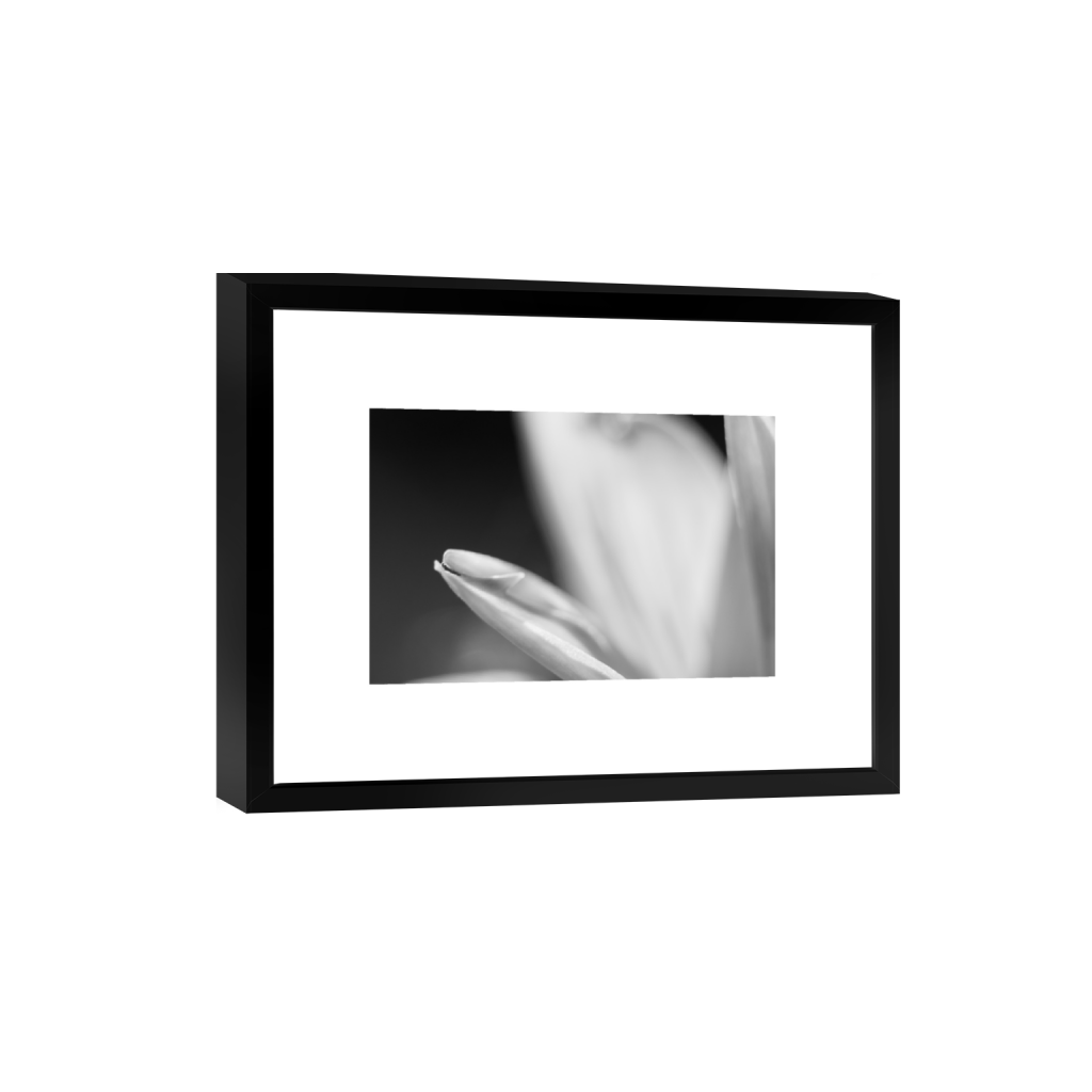 ptq_45_3_0_218_3280_2186_0_true_ffffff_1_1_.png