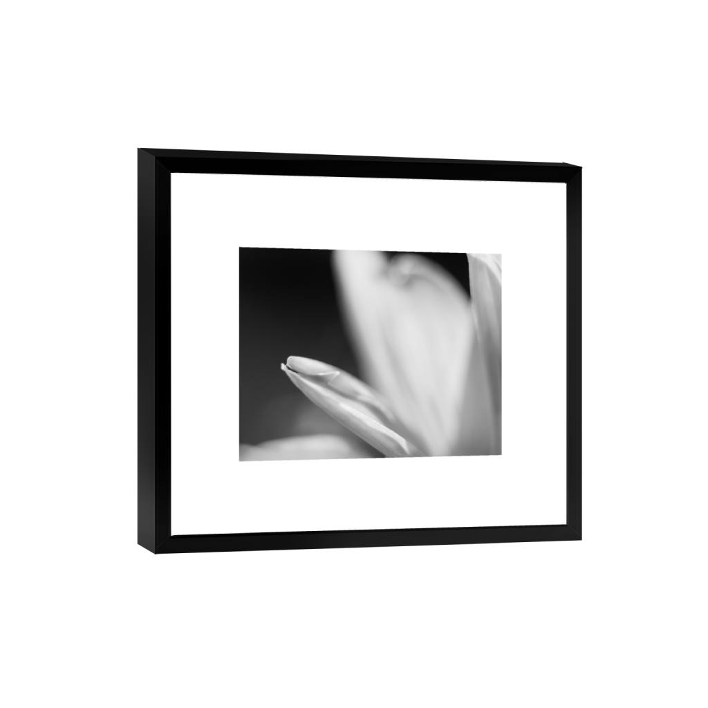 ptq_45_6_0_0_3280_2624_0_true_ffffff_1_1_.png