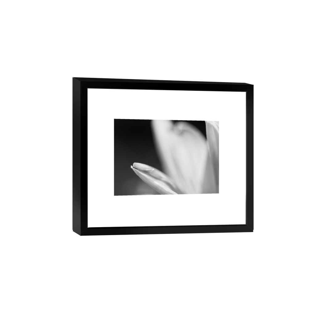 ptq_45_7_0_0_3280_2342_0_true_ffffff_1_1_.png