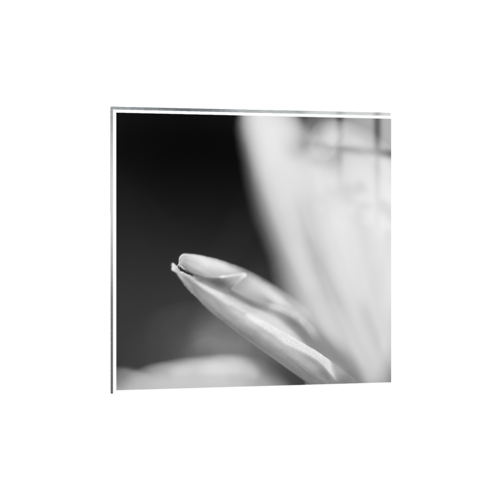 ptq_13_0_0_0_2624_2624_0_true_ffffff_1_1_.png