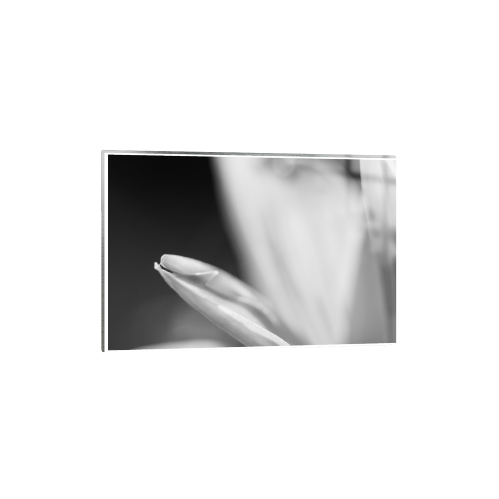ptq_13_3_0_218_3280_2186_0_true_ffffff_1_1_.png