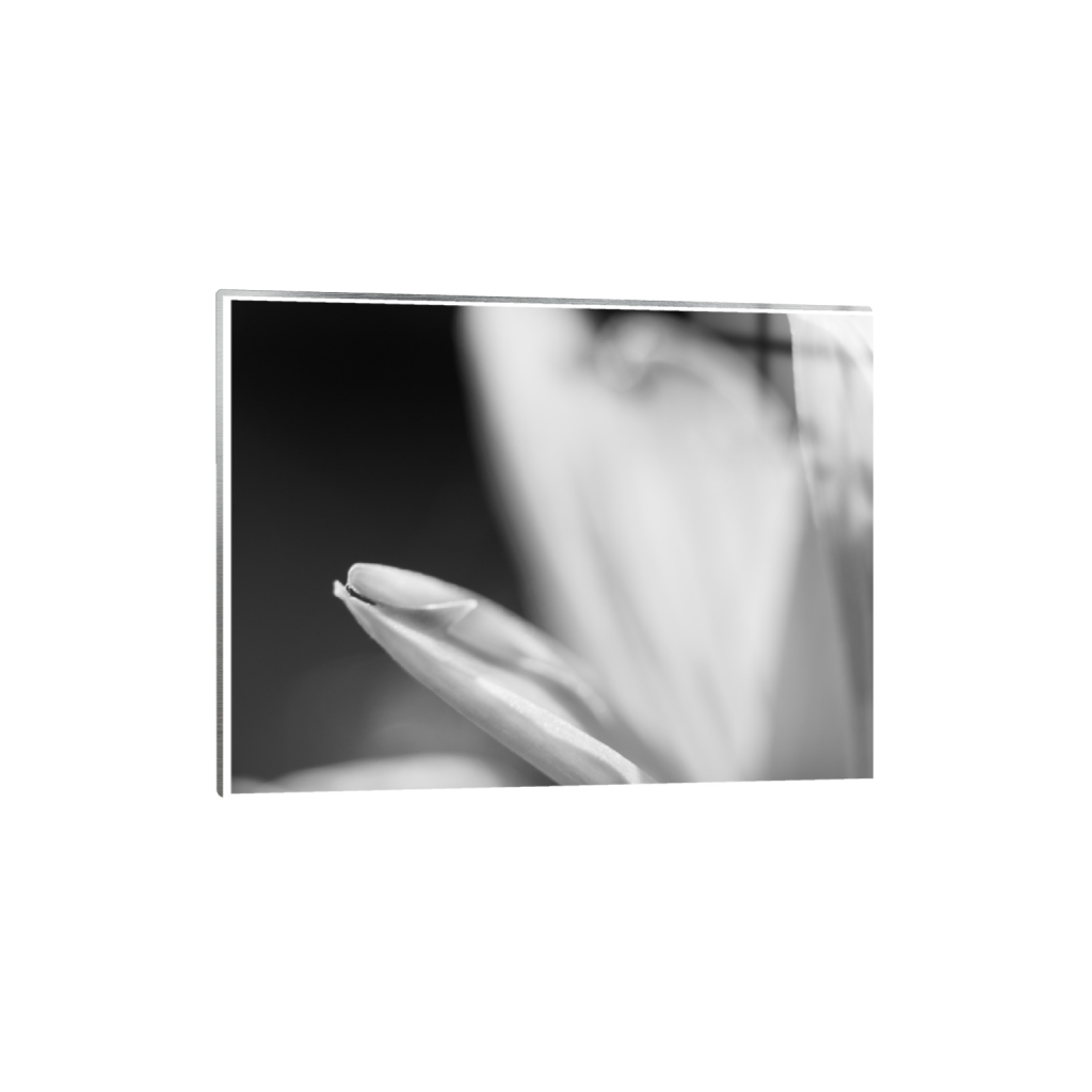 ptq_13_5_0_24_3280_2460_0_true_ffffff_1_1_.png