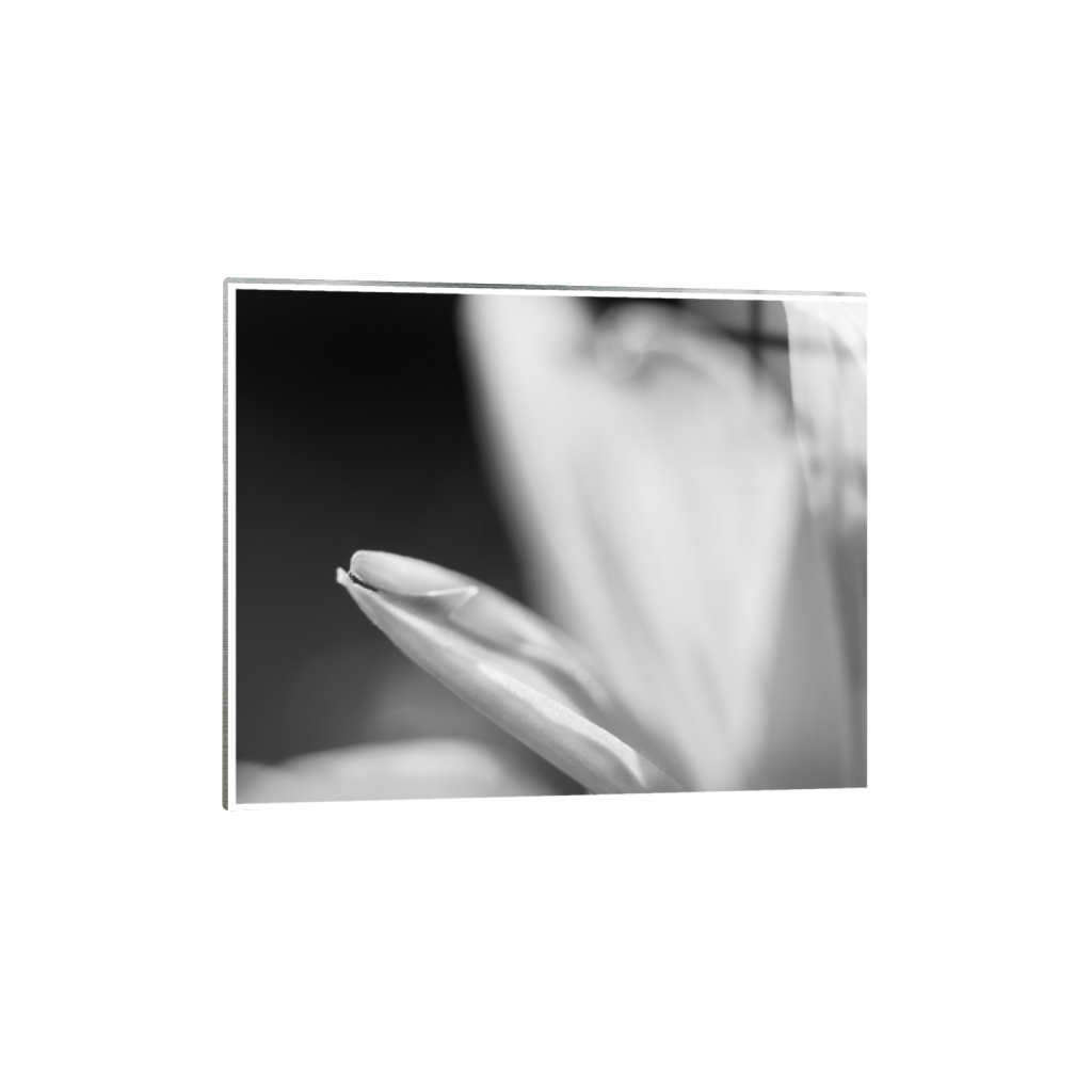 ptq_13_6_0_0_3280_2624_0_true_ffffff_1_1_.png