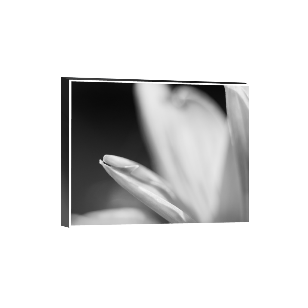 ptq_32_6_0_0_3280_2624_0_true_ffffff_1_1_.png