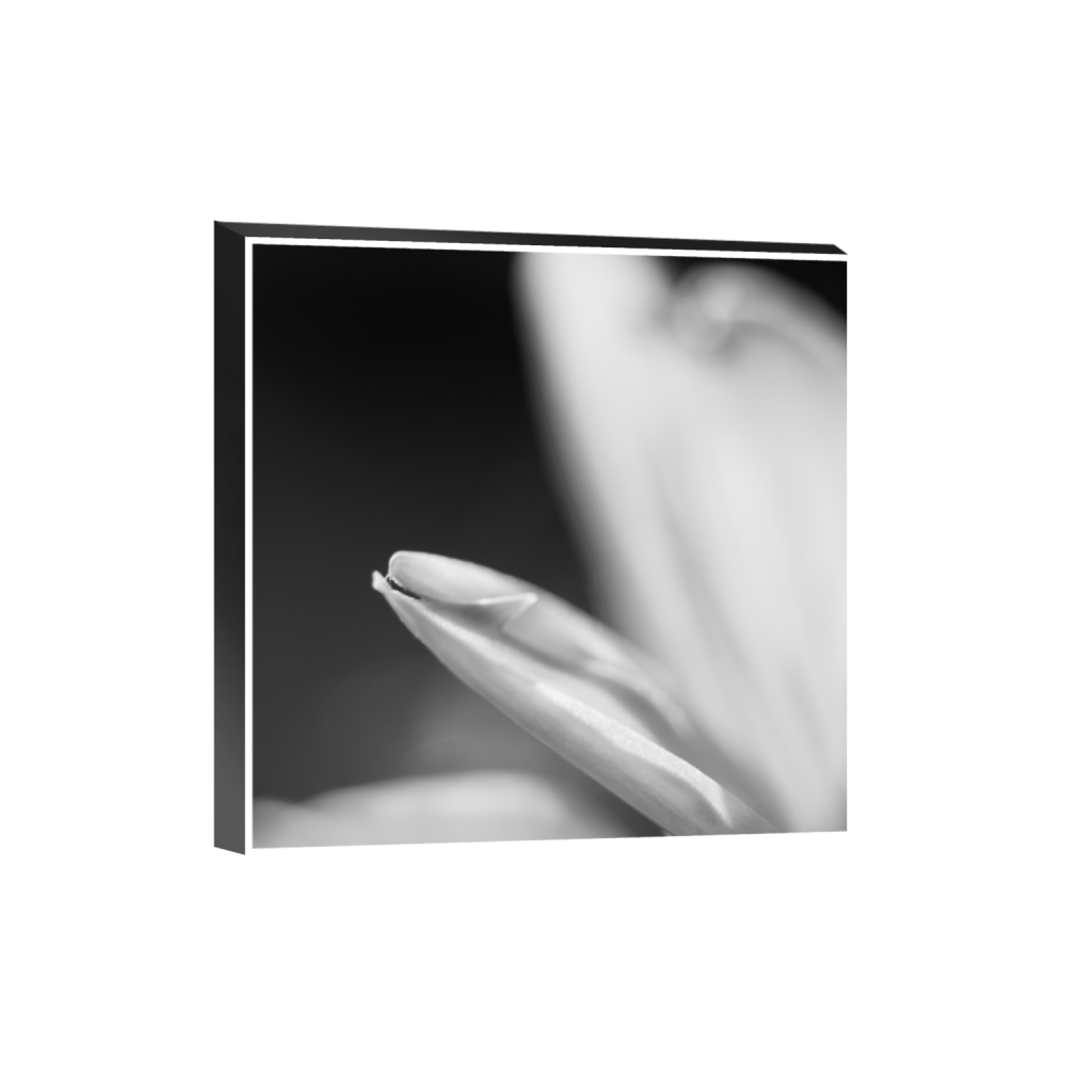 ptq_32_0_0_0_2624_2624_0_true_ffffff_1_1_.png