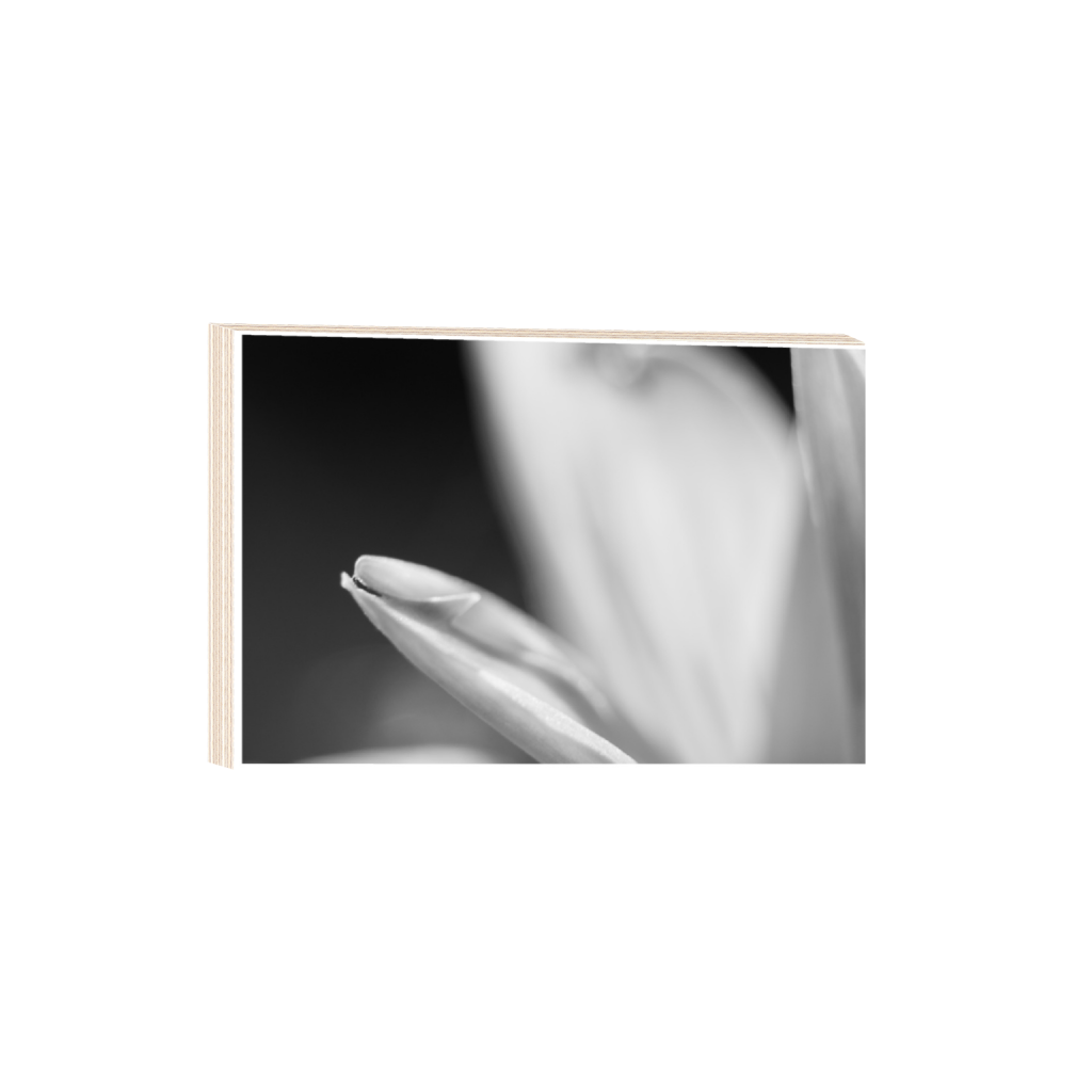 ptq_29_3_0_218_3280_2186_0_true_ffffff_1_1_.png
